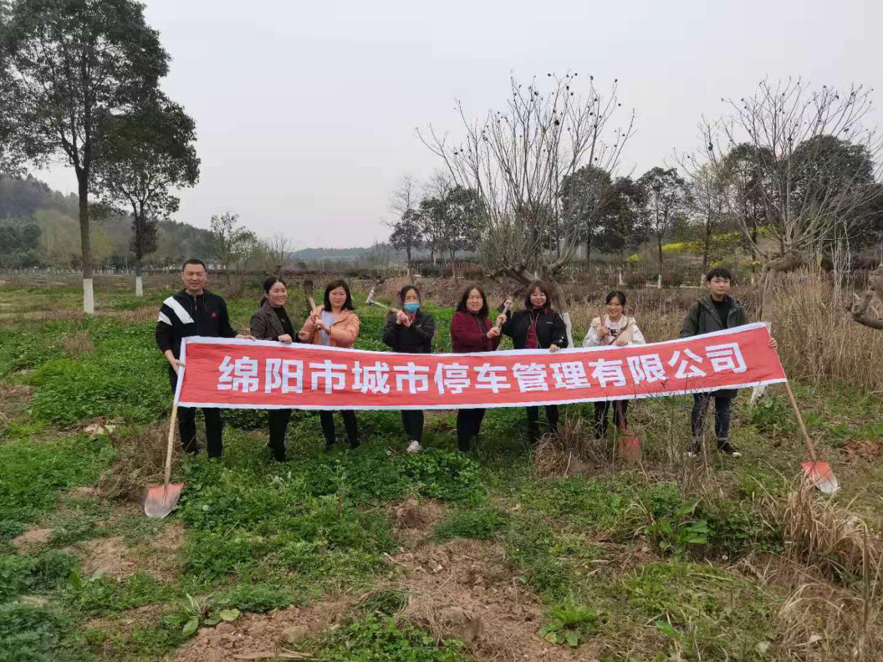 植樹活動(dòng)1 植樹活動(dòng)1